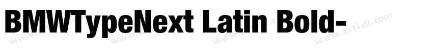 BMWTypeNext Latin Bold字体转换